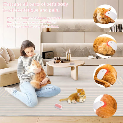 Electric Vibrating Pet Massage Brush | Dog & Cat Grooming Brush